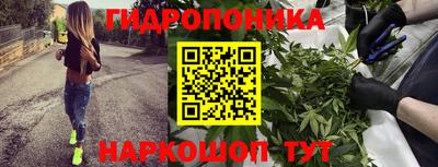 гидропоника Котовск